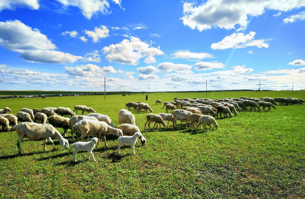乐林丨让每个人，乐享品质涮烤生活